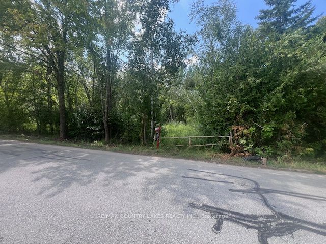 Additional image 5 of 122-123 Riverview Beach Road, Georgina, ON, L0E 1N0