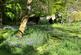 Additional image 37 of Muirland Cottage, Arden, Alexandria, G83 8RQ