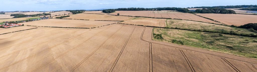 Land for saleDalkeith, Midlothian EH22 photo 3