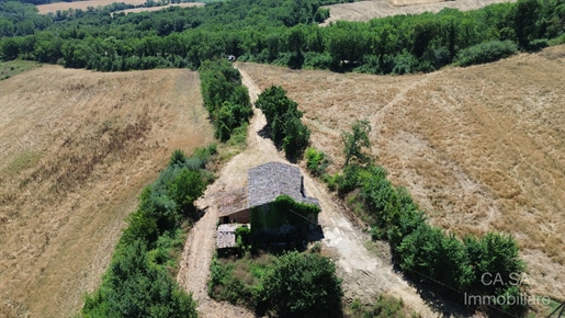 Additional image 6 of Todi (Perugia)