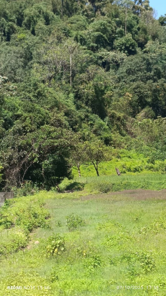 Additional image 3 of Coorg, Mysore