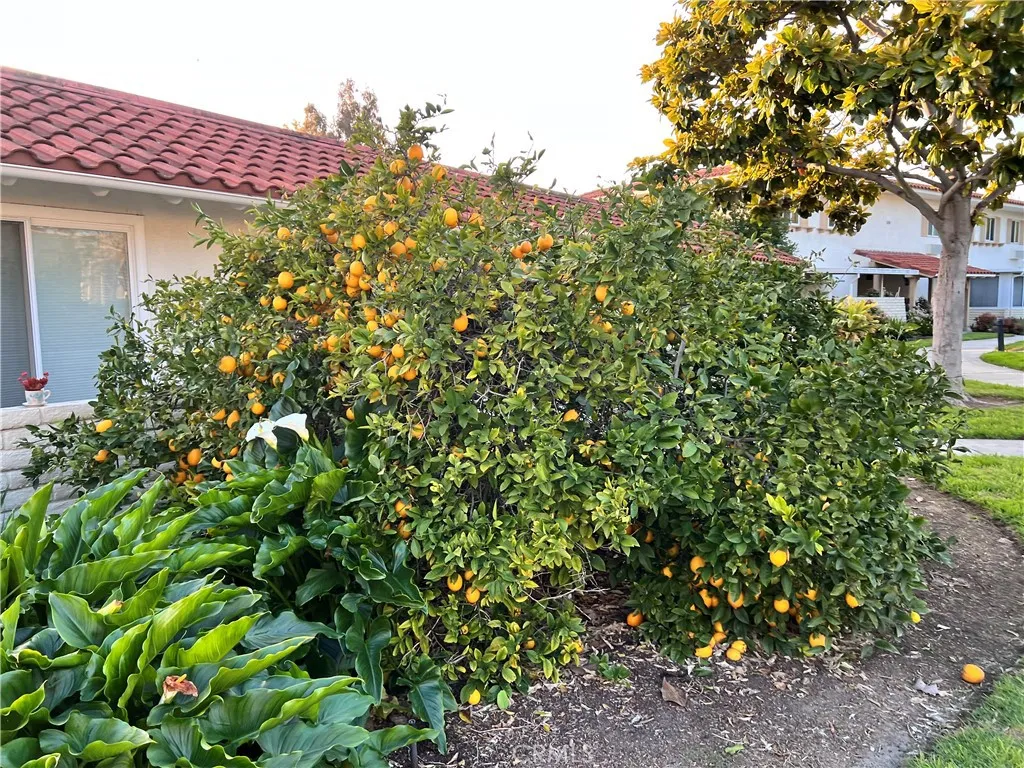 Additional image 19 of 2313 Via Puerta Unit Q, Laguna Woods, CA 92637