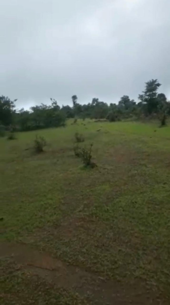 Additional image 2 of Maval, Pune