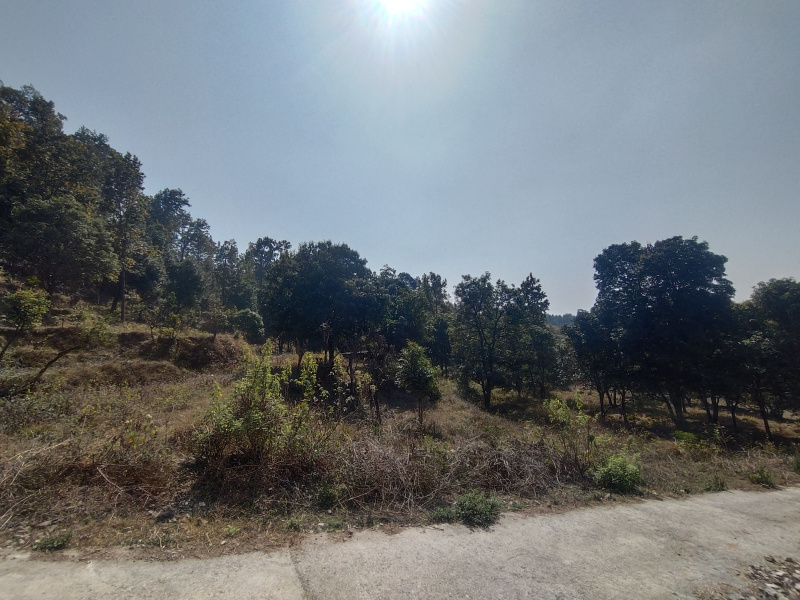 Additional image 2 of Ranipokhari, Dehradun