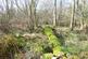 Additional image 10 of Great Wood, Stocksfield, Northumberland. NE42
