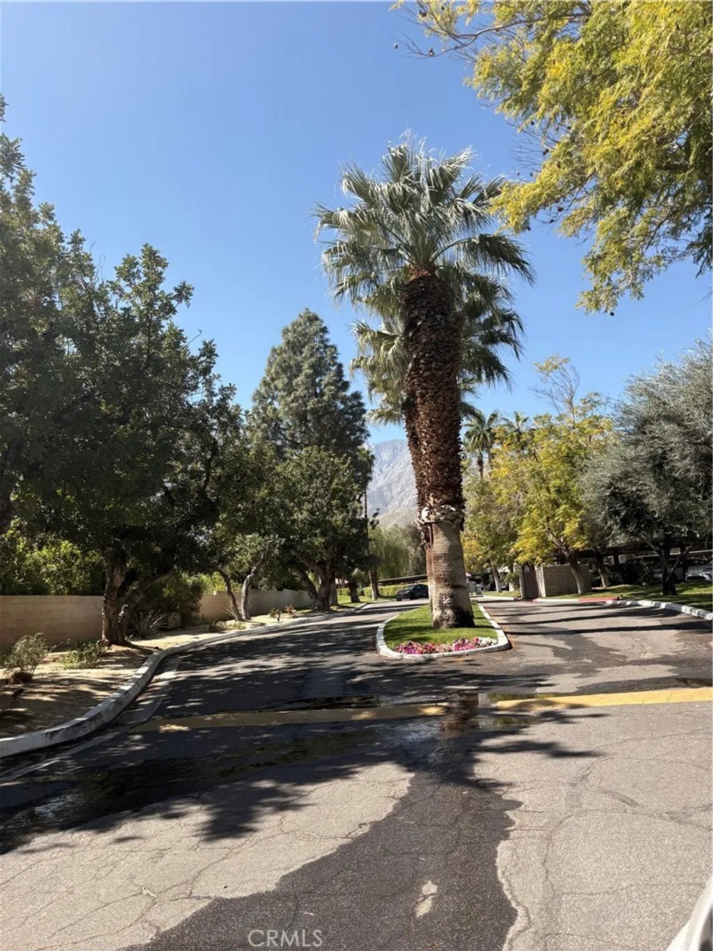 Additional image 44 of 510 N Villa Court, Palm Springs, CA 92262