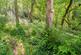 Additional image 23 of Nore Road, Portishead, North Somerset, BS20