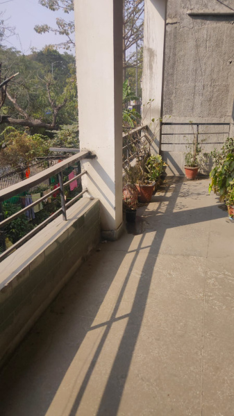 A Block, I. P Extension, Delhi