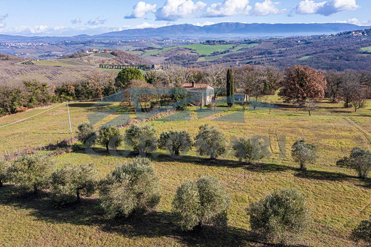 Additional image 9 of Todi (Perugia)