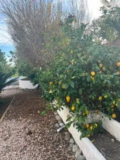 Additional image 37 of 2287 Levante Street Unit B, Carlsbad, CA 92009