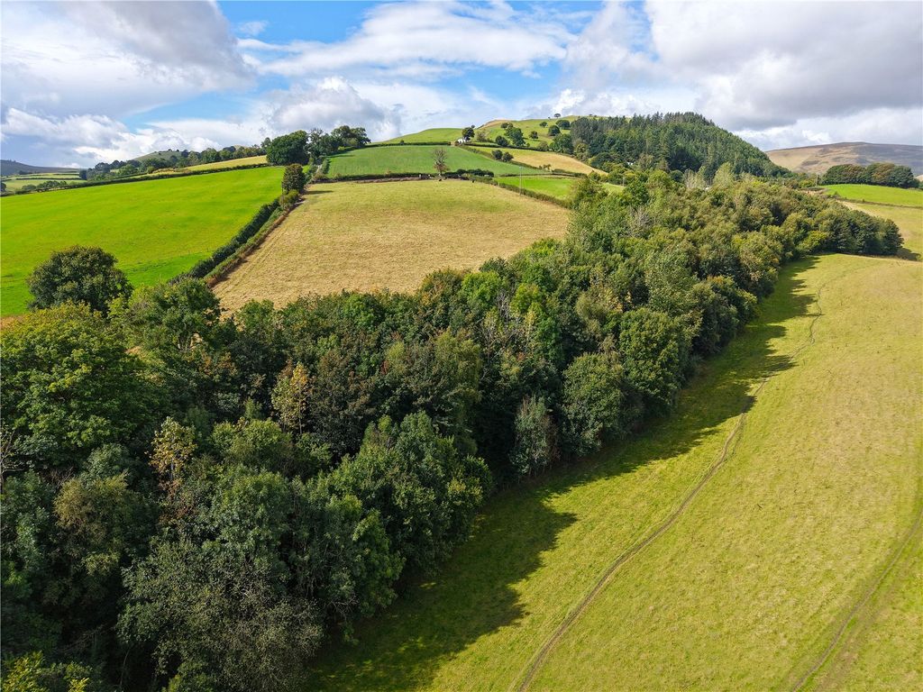 Land for saleNew Radnor, Presteigne, Powys LD8