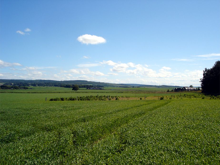 Land for saleMuirhead, Kinloss, Moray IV36