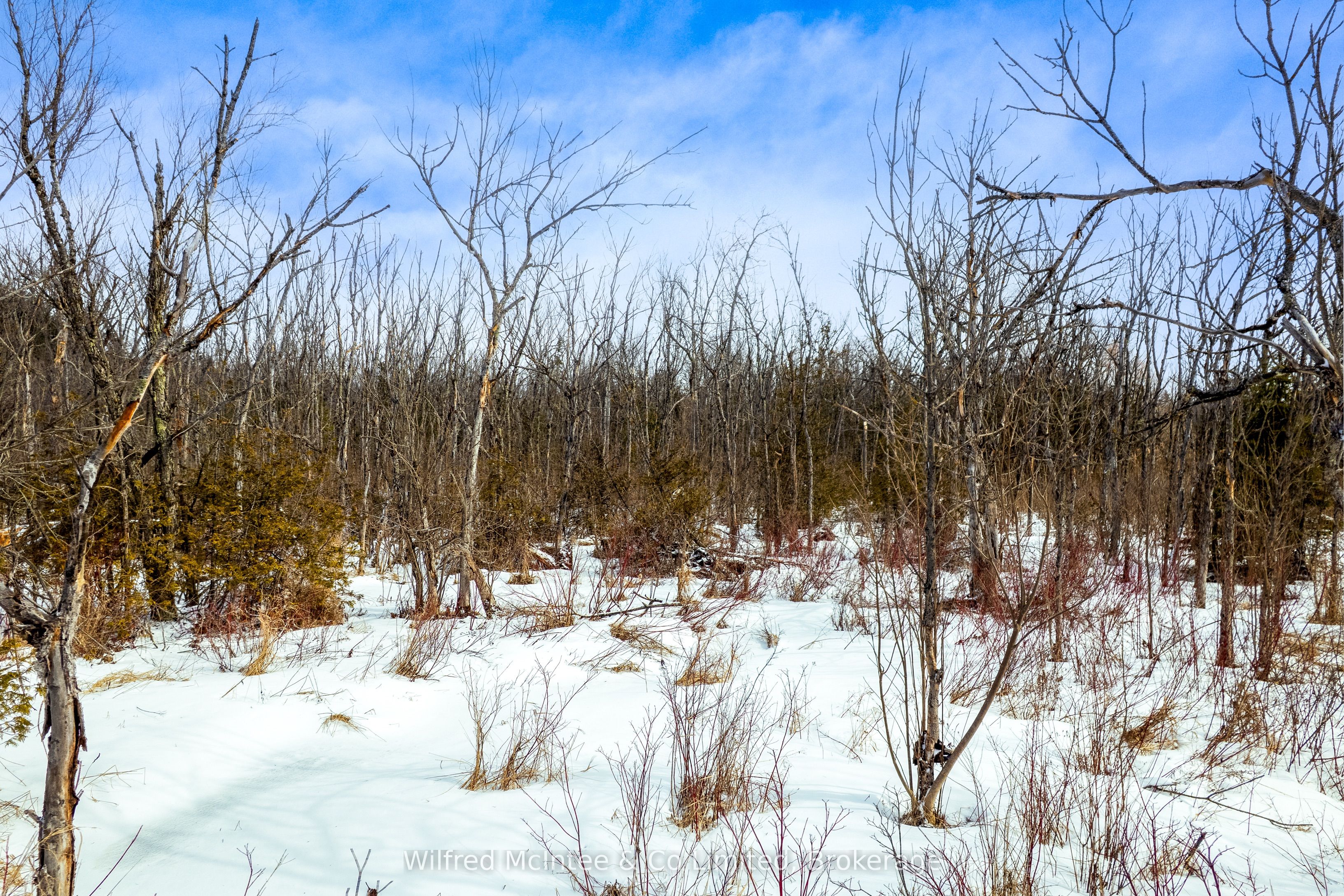 Additional image 5 of PtLt 19 First Line, Erin, ON, L0N 1N0