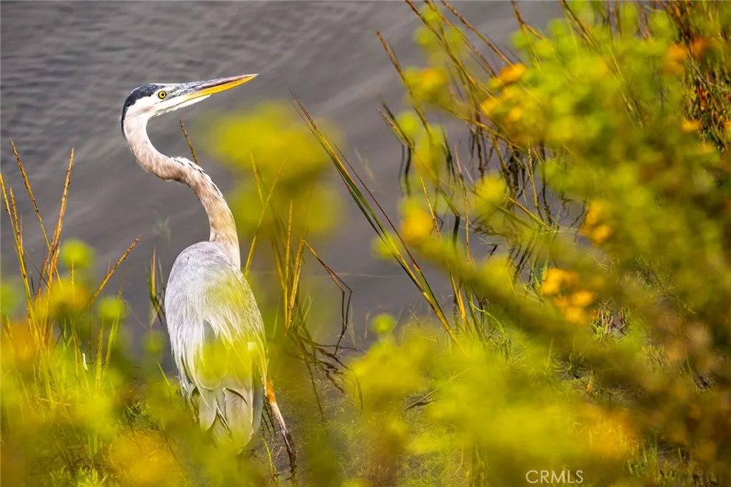 Additional image 46 of 1008 Delaware St, Huntington Beach, CA 92648