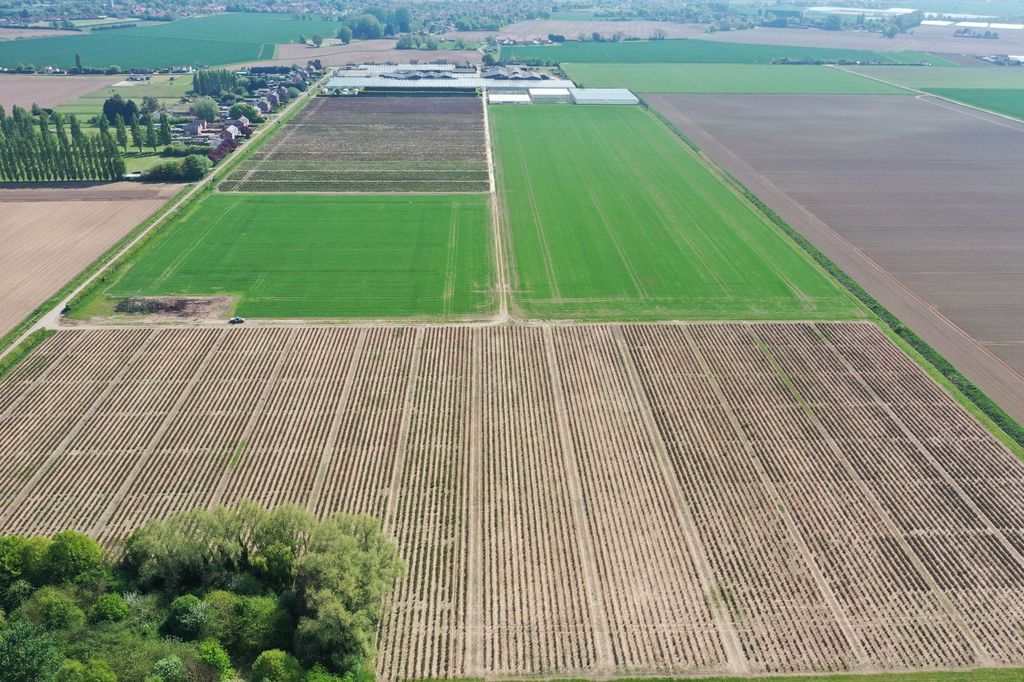 Additional image 8 of Land for saleNew Roman Bank, Terrington St. Clement, King's Lynn, Norfolk PE34