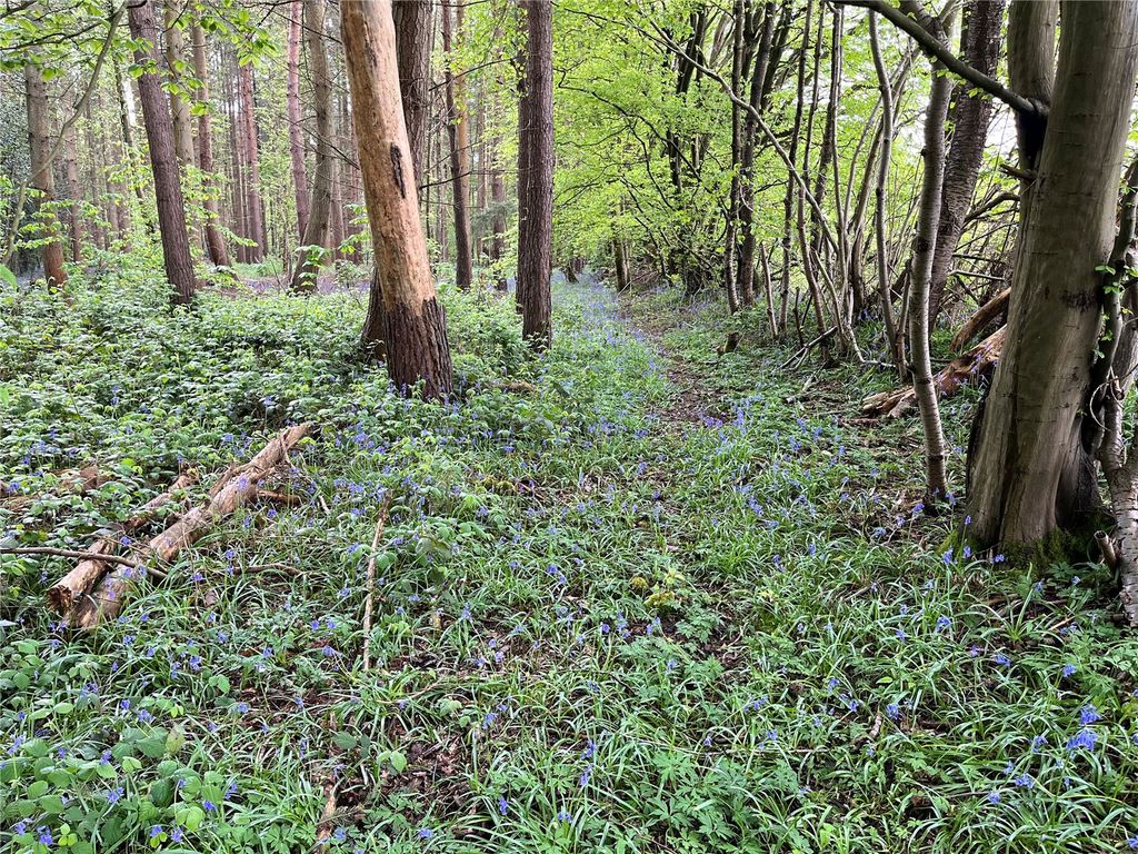Land for saleMoat Wood, East Hoathly, East Sussex BN8