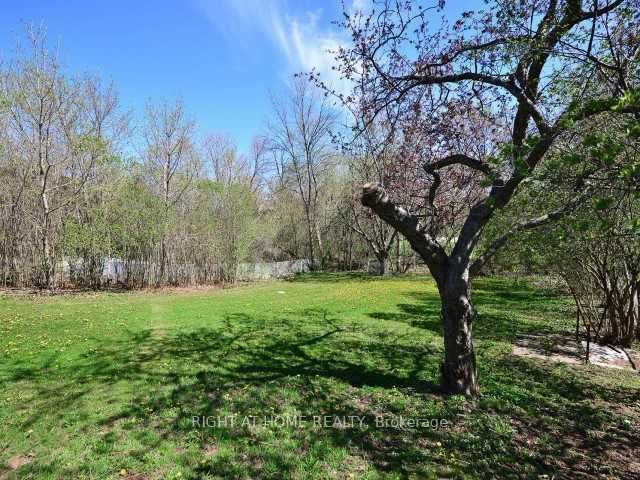 15 Pioneer Drive, Mississauga, ON, L5M 1G8