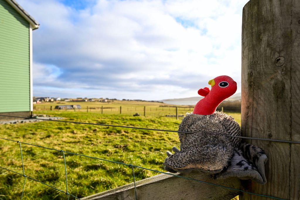 Additional image 56 of 3 bed detached house for saleKrooshin Burn, Sandwick, Shetland ZE2