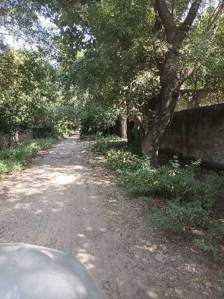 Najafgarh Road, Delhi