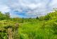 Additional image 41 of C345 Medburn Junction To Black Heddon Junction, Ponteland NE20