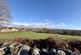 Additional image 31 of Quakers Yard, Treharris CF46