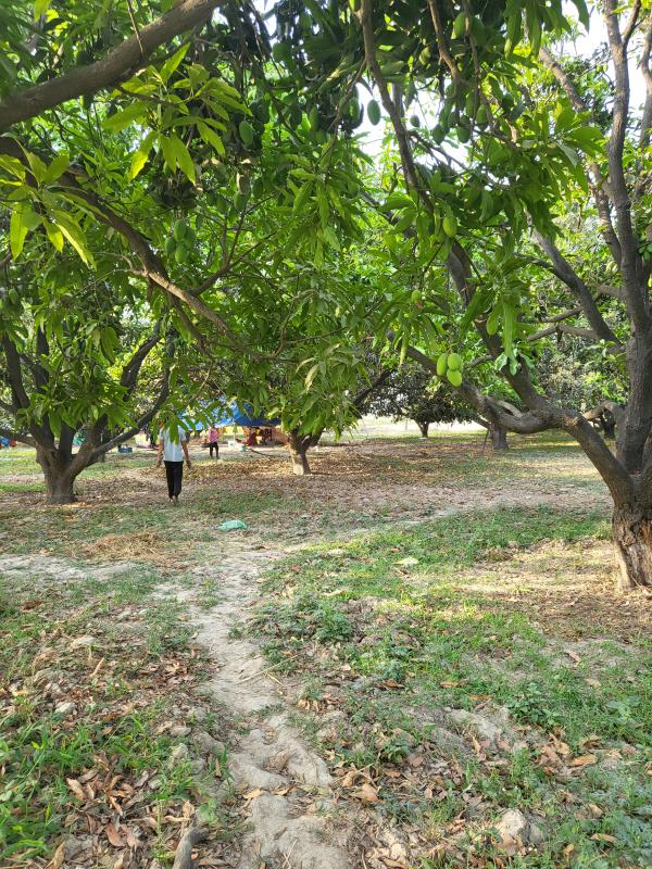 Bijnor Road, Lucknow