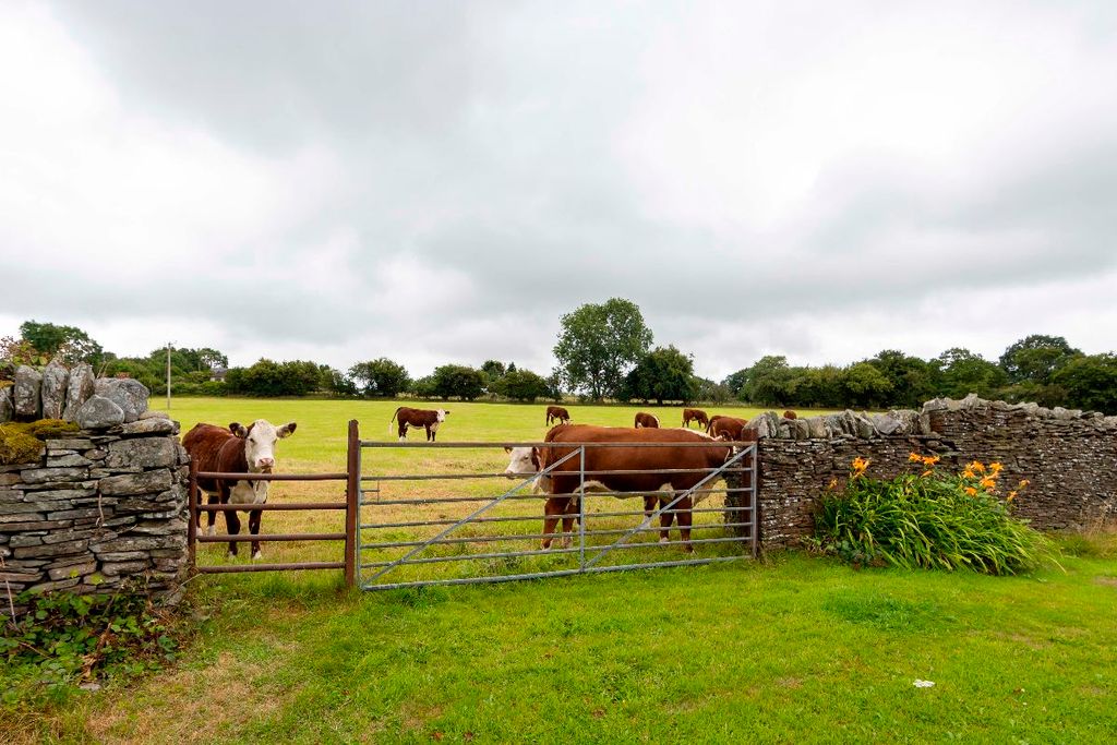 Additional image 103 of 4 bed detached house for saleBerth Gron, Tydu Road, Nelson, Treharris CF46