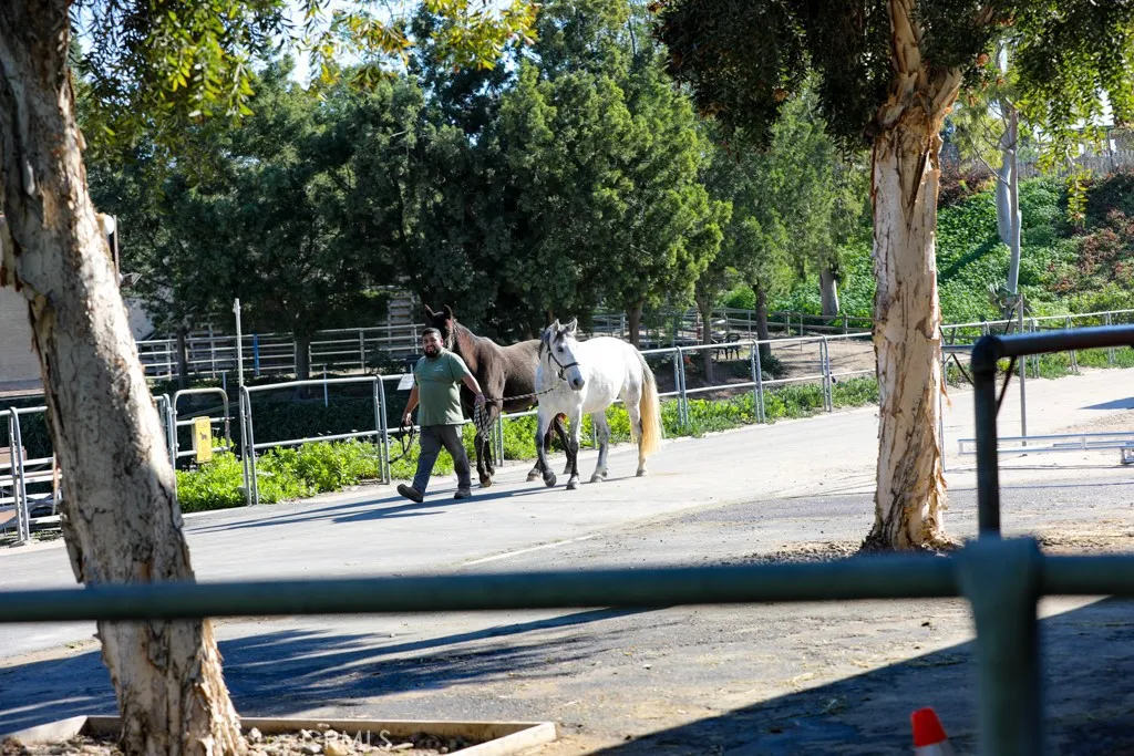 Additional image 44 of 2388 Via Mariposa W Unit 1B, Laguna Woods, CA 92637