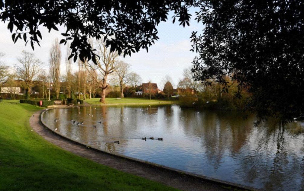 Additional image 10 of Land for saleSaltmarsh Lane, Hailsham, East Sussex BN27