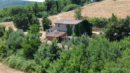 Additional image 18 of Todi (Perugia)
