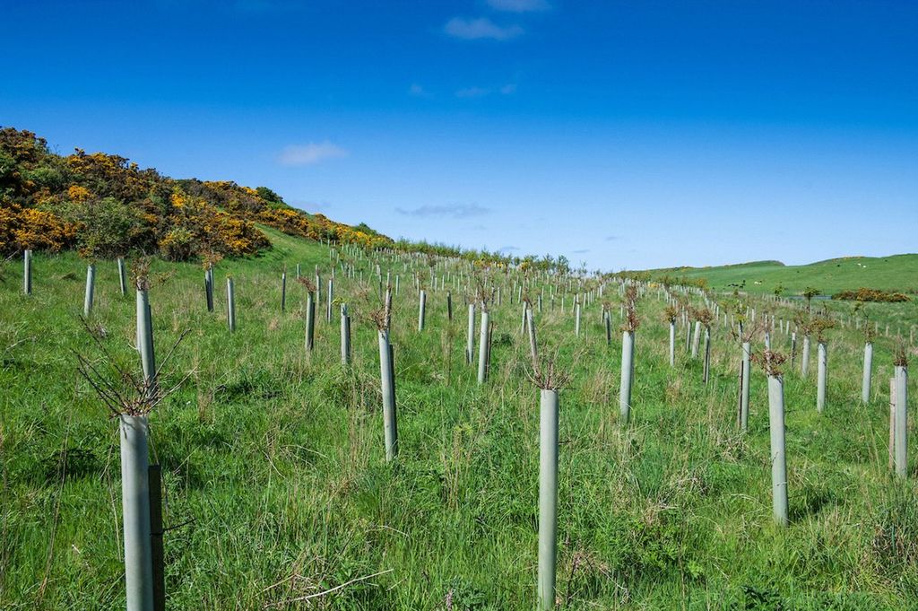 Additional image 53 of 3 bed detached house for saleEyemouth Road, Coldingham, Eyemouth TD14