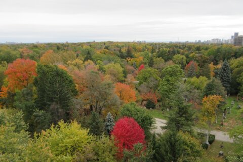 Additional image 7 of 1506-35 Merton Street, Toronto, ON, M4S 3G4
