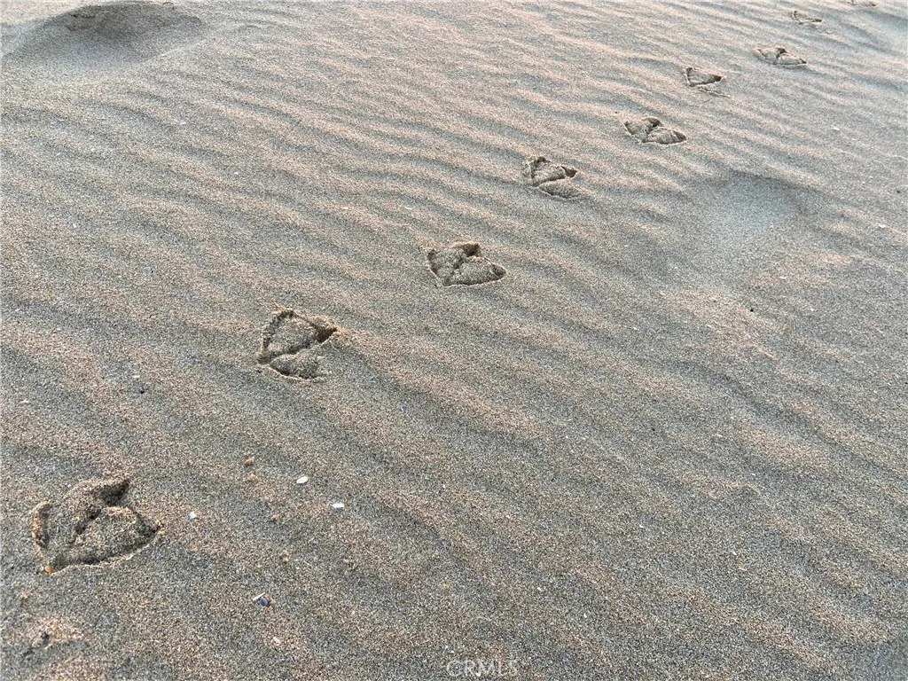 Additional image 49 of 1720 W Oceanfront Unit B, Newport Beach, CA 92663