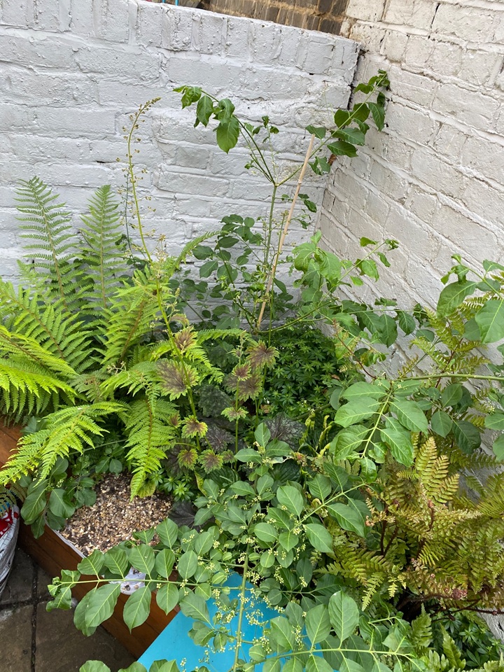 Additional image 17 of 2 Bed Flat, Oakley Place, SE1, N1 7GU