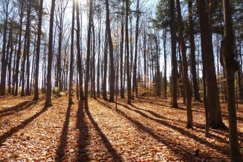 Additional image 8 of 8949 Wellington Rd 22 Road, Erin, ON, N0B 1Z0