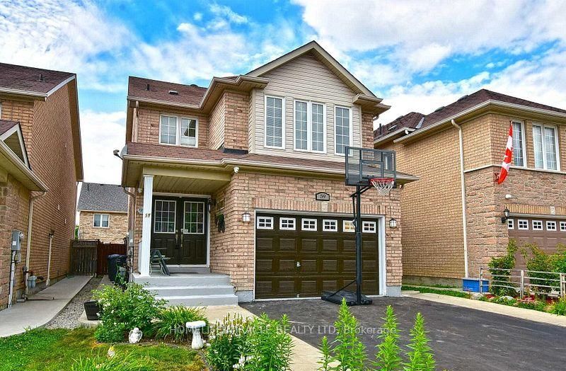 Basement-59 Rollingwood Drive, Brampton, ON, L6Y 5R1