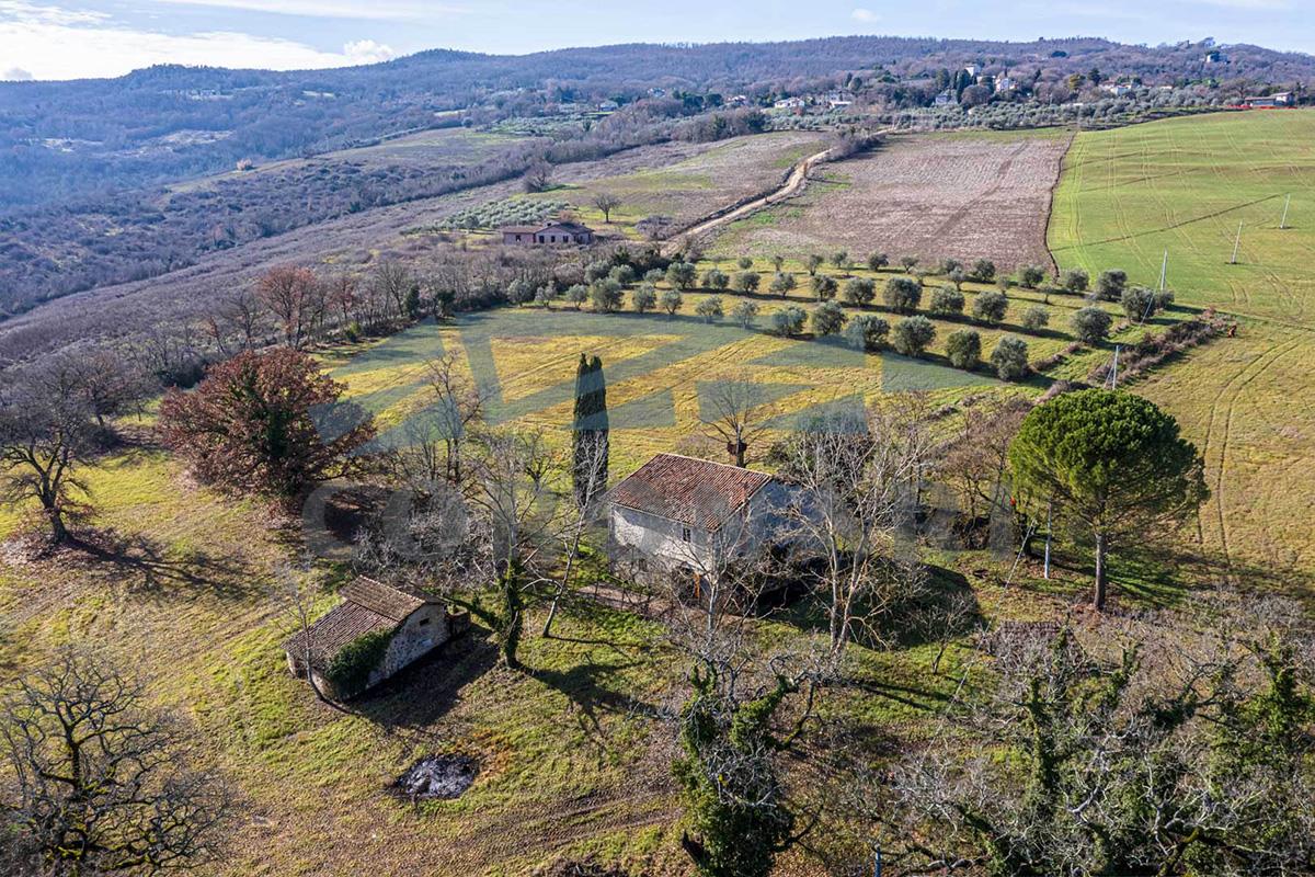 Additional image 5 of Todi (Perugia)