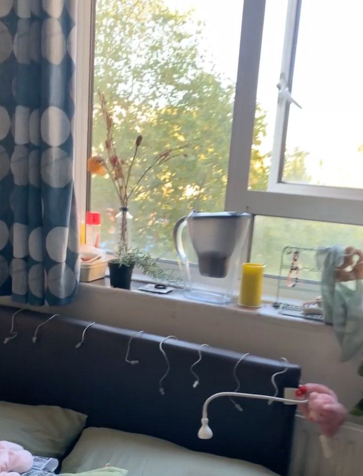 Additional image 3 of Room in a Shared Flat, Thirlmere, NW1, NW1 4EN