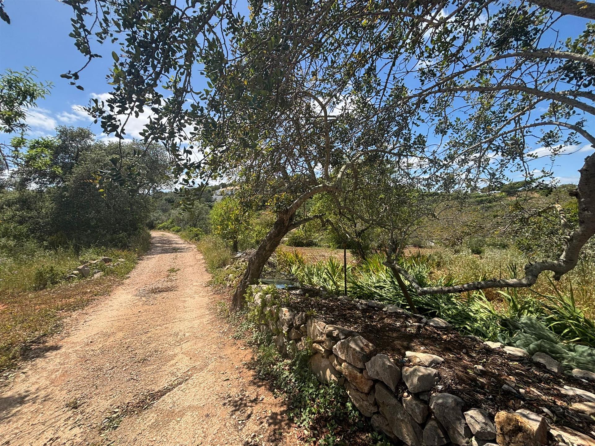 Additional image 3 of Luz de Tavira e Santo Estêvão (Tavira)