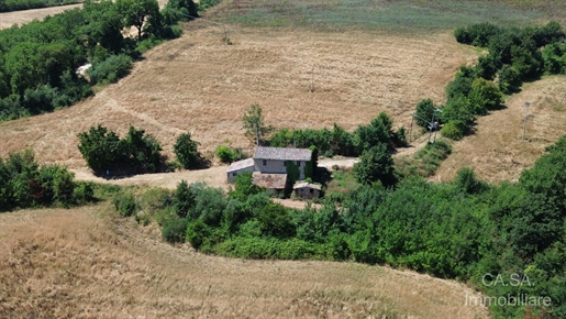Additional image 12 of Todi (Perugia)