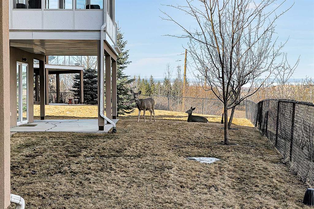 Additional image 6 of 117 River Heights View, Cochrane, AB, T4C0E6