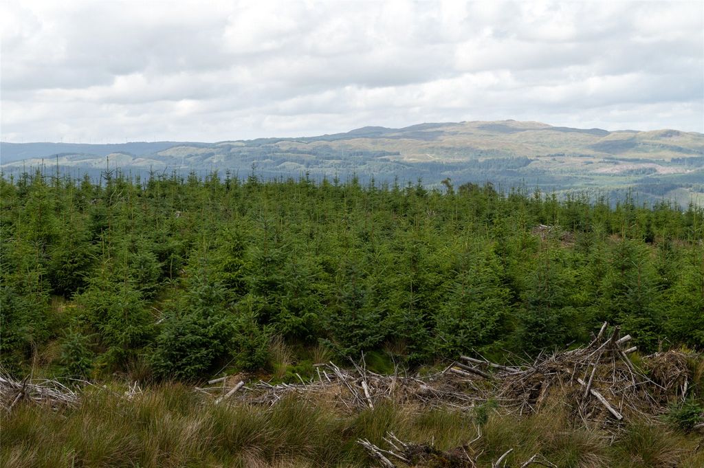 Additional image 10 of Land for saleSt. Catherines Forest, Cairndow, Cowal Peninsula, Argyll & Bute PA25