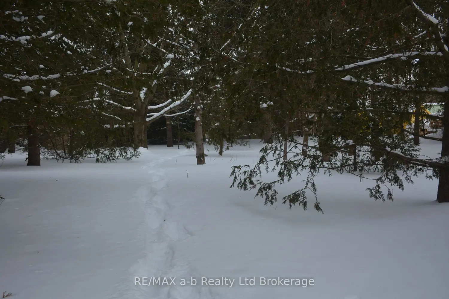 Additional image 10 of 146 Whiting Street