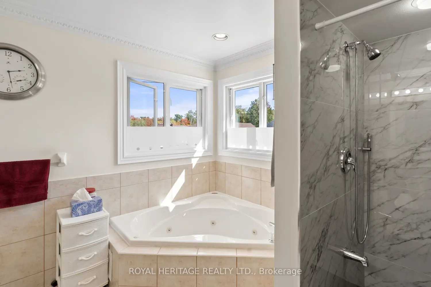 Additional image 15 of 1101 Gossamer Drive