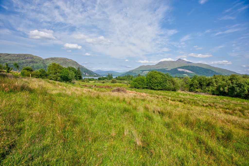 Land for salePlot 1, Brolas, Taynuilt, By Oban PA35