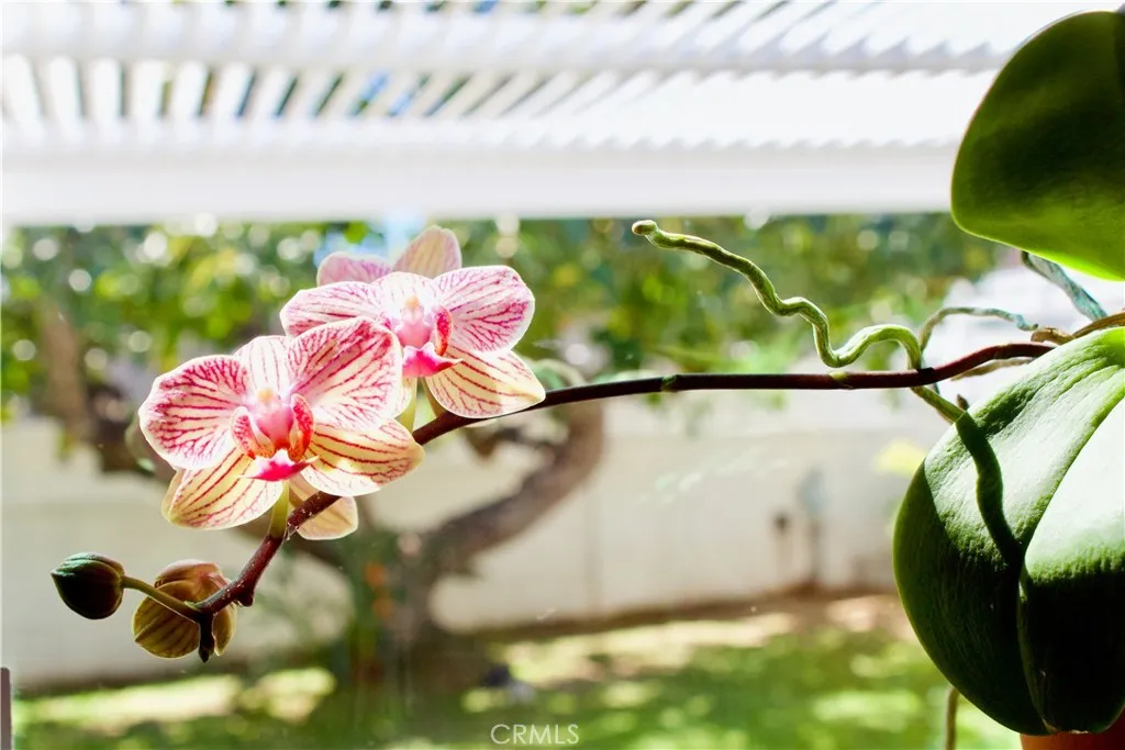 8727 Glider Ave, Los Angeles, CA 90045