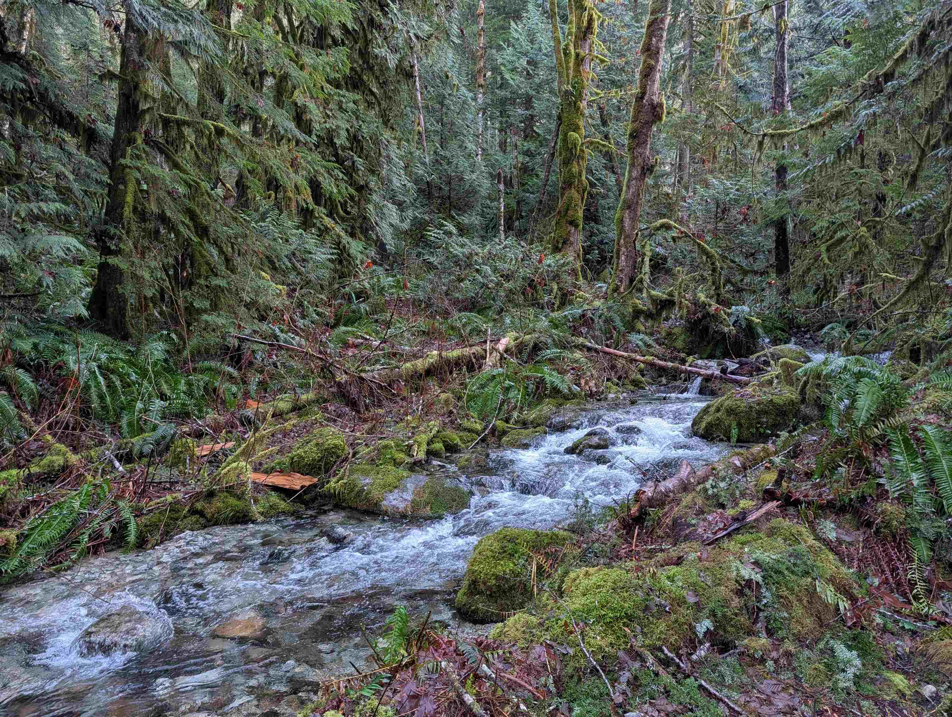 2045 Rustad Road N, Squamish, BC, V0N 3G0