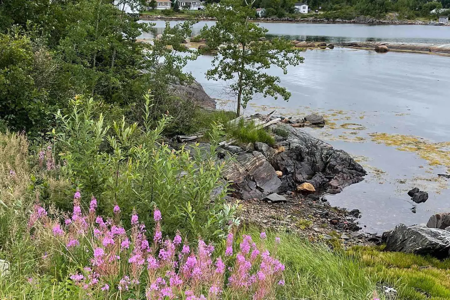 Additional image 17 of 26 Main Road