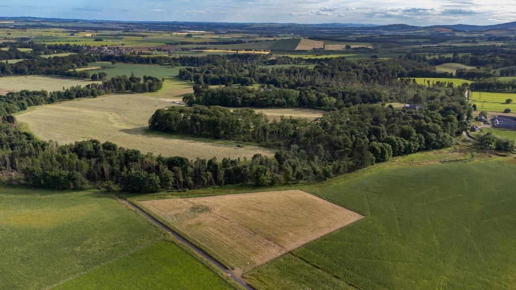 Fasque Estate, Aberdeenshire, AB30