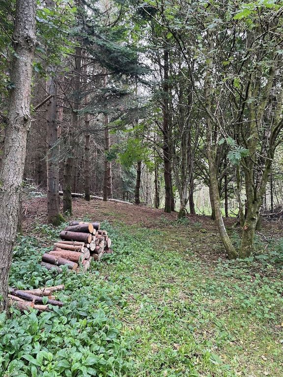 Additional image 55 of Land for saleAuchengray, South Lanarkshire ML11